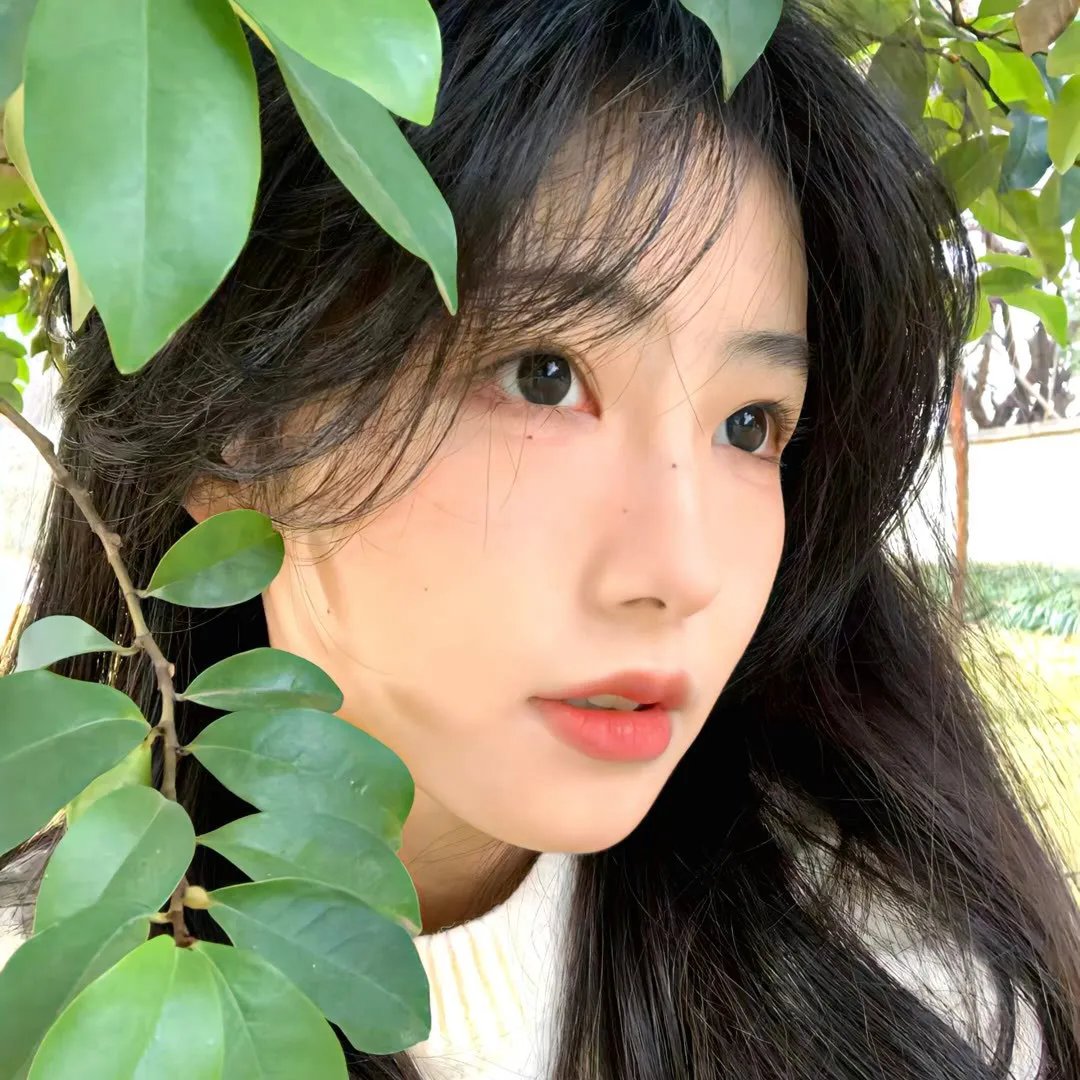 安娜·妮可